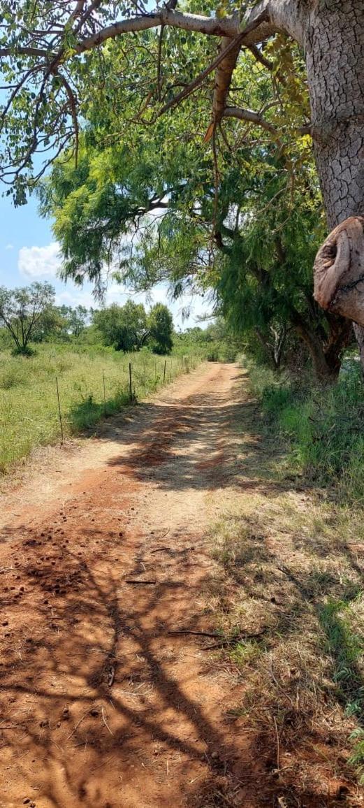 Hartbeest Bush Lodge 4 ハートビーズポート エクステリア 写真